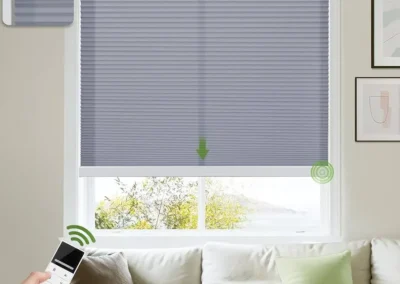 motorized blinds