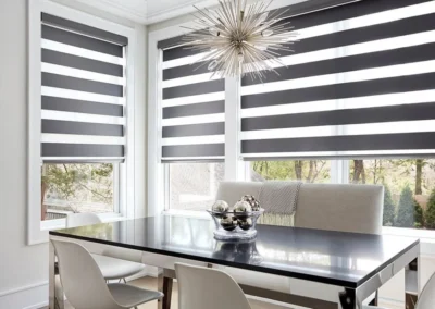 Zebra Blinds