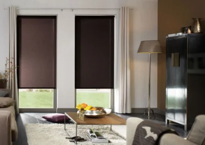 blackout blinds choose