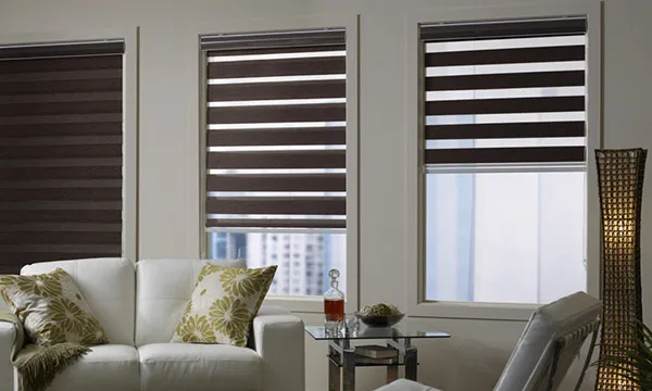 Black Silk Zebra Blinds