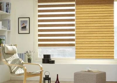 Modern Zebra Window Blind