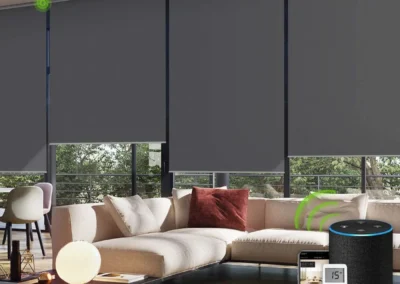 Motorized Blackout blinds