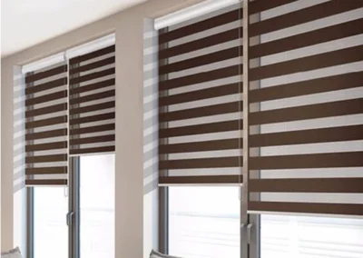 Zebra Blinds Curtain