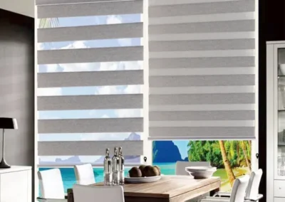 zebra window blinds