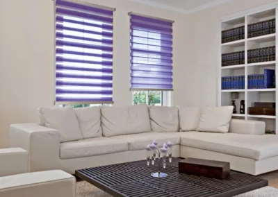 Duplex Blinds for living room