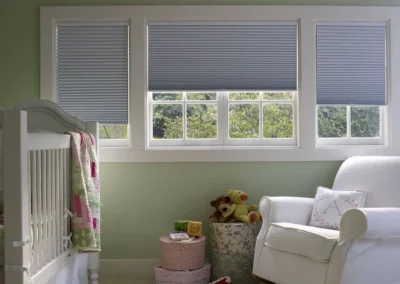 Honeycomb Blinds