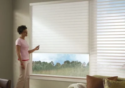 Motorized Window Blind