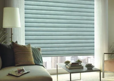 Zebra Blinds Curtains