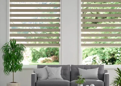 Zebra or Duplex blinds