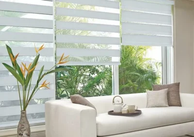 duplex roller blinds