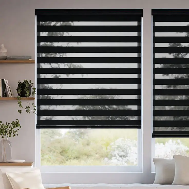 Dual Zebra Solar Window Shades Select Blinds