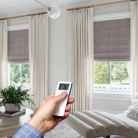 Motorized Blinds Somfy