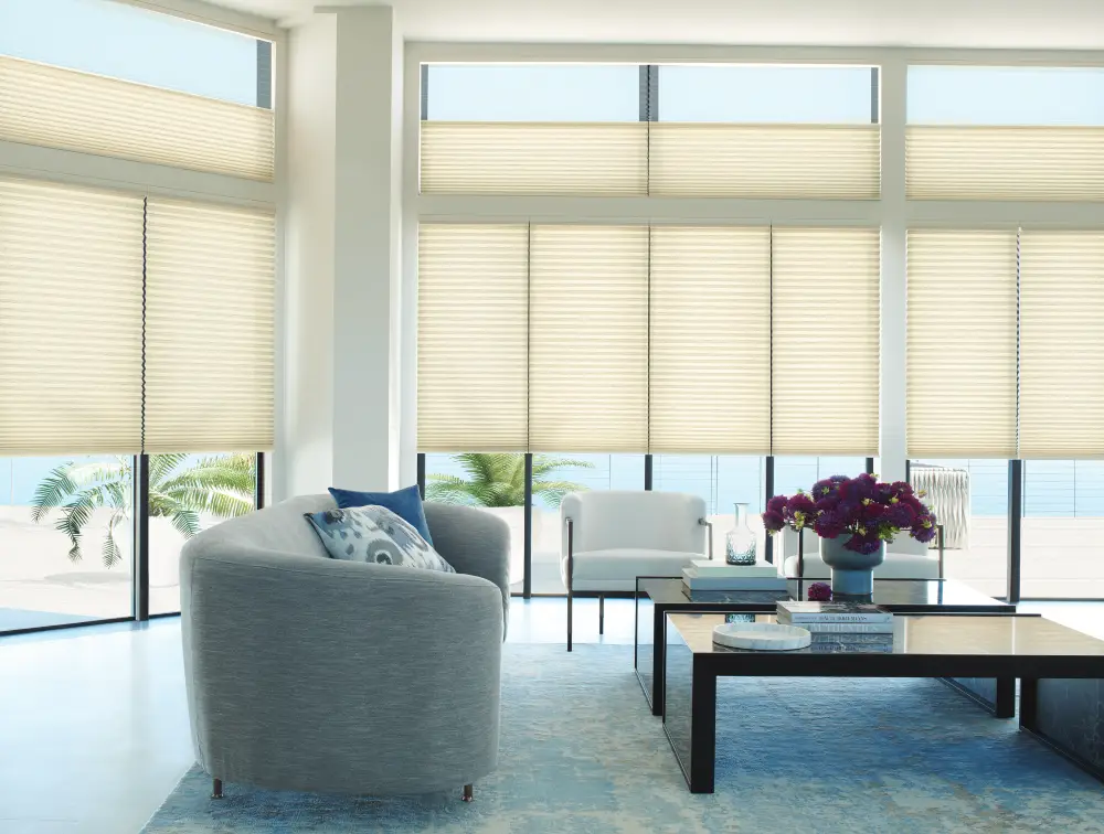 Honeycomb Window blinds and Shades