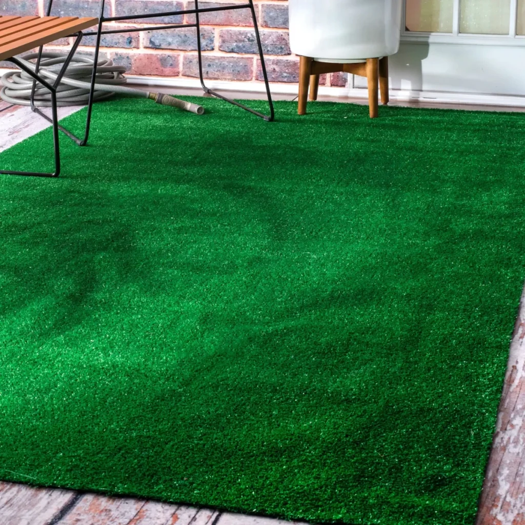 Artificial Grass Carpet Home Depot