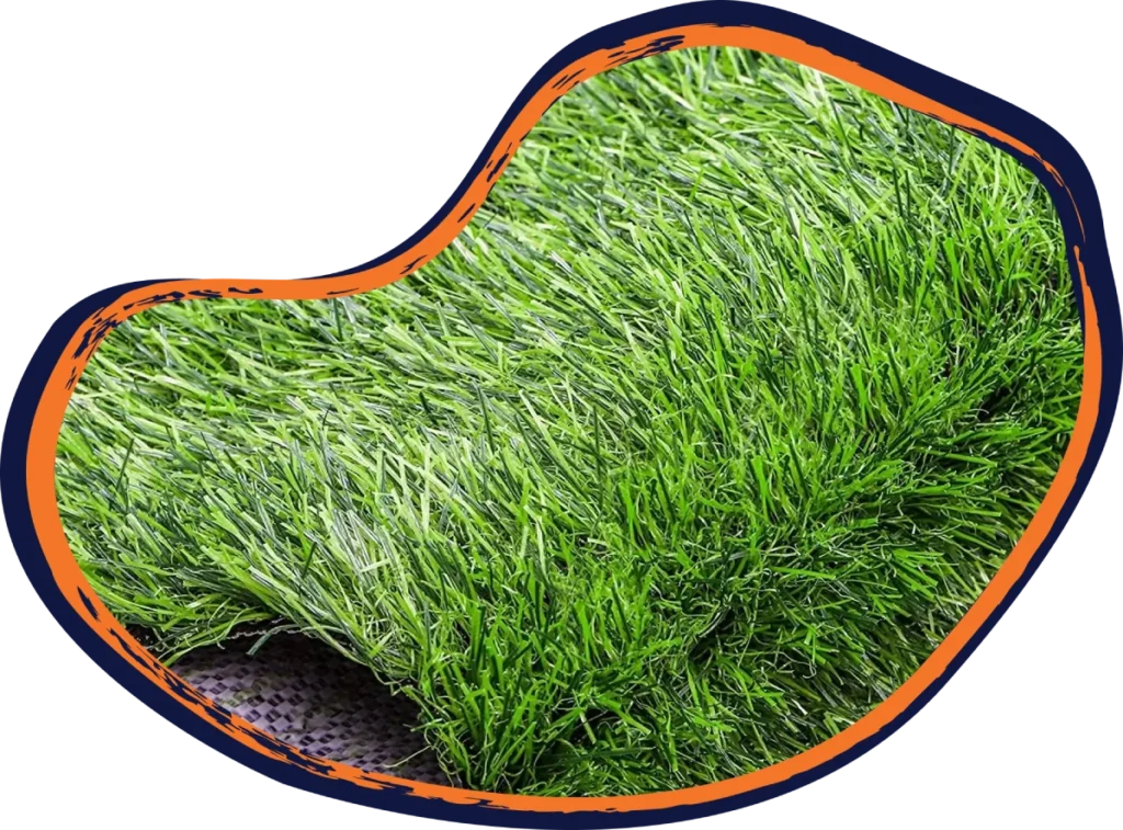 Carpet Grass