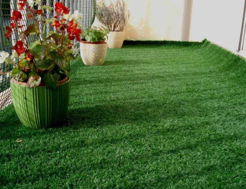 Green grass Carpet