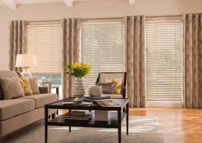 Window blinds with curtains online